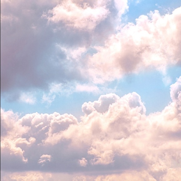 Meet your Posher, Mochi Marie - Picture 3 of 3